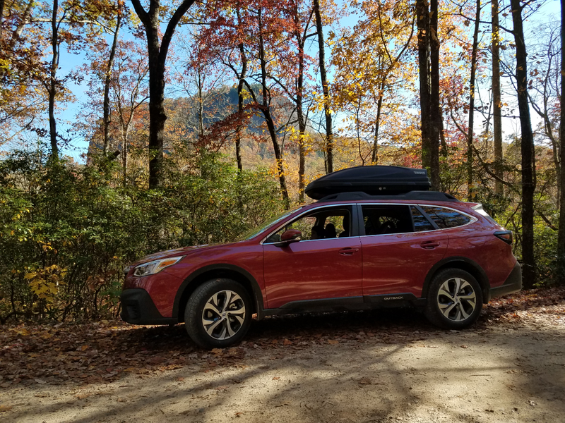 In the woods near Looking Glass Rock in Pisgah National Forest within 24 hours of purchase